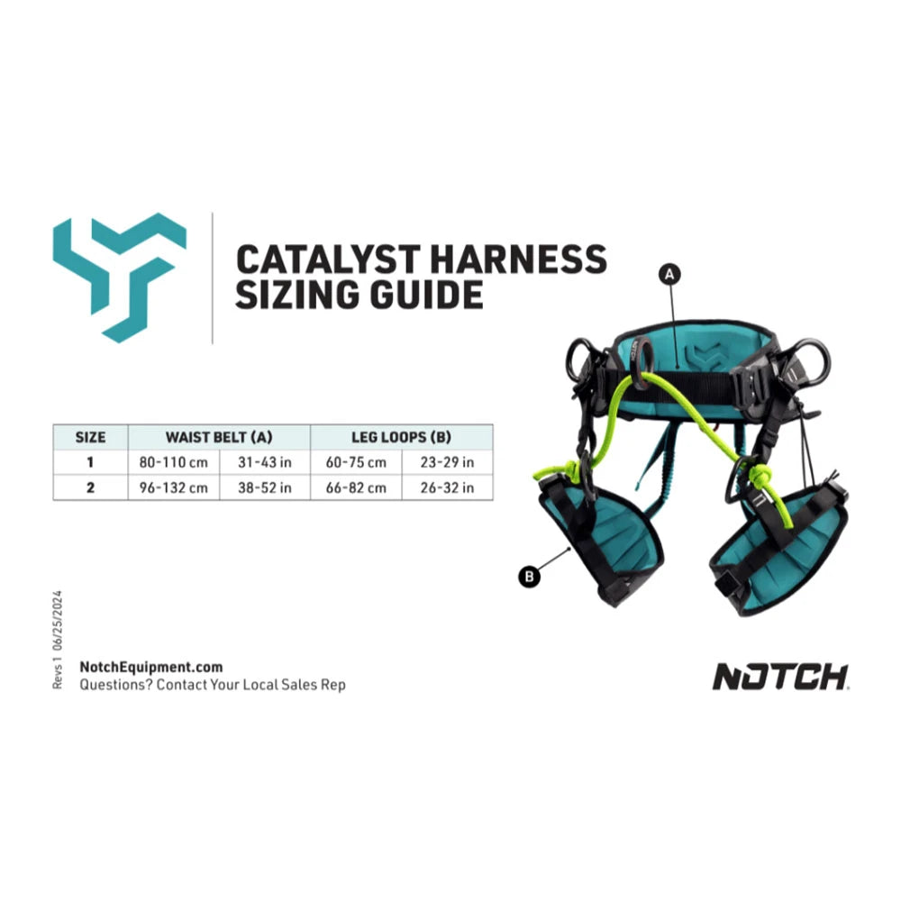 Catalyst
