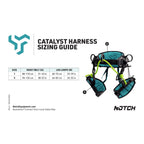 Catalyst